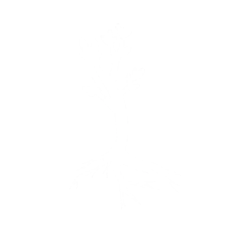 Root Down Counseling Icon